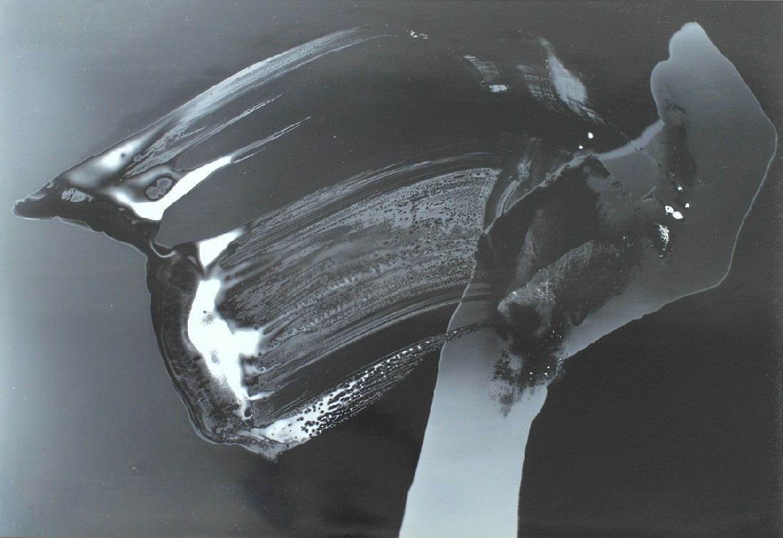 Eva-Maria Schön, expositie 2017-18, fotowerk - n.a.v. fotogram
PHŒBUS•Rotterdam Eva-Maria Schön, expositie 2017-18, fotowerk - n.a.v. fotogram
PHŒBUS•Rotterdam