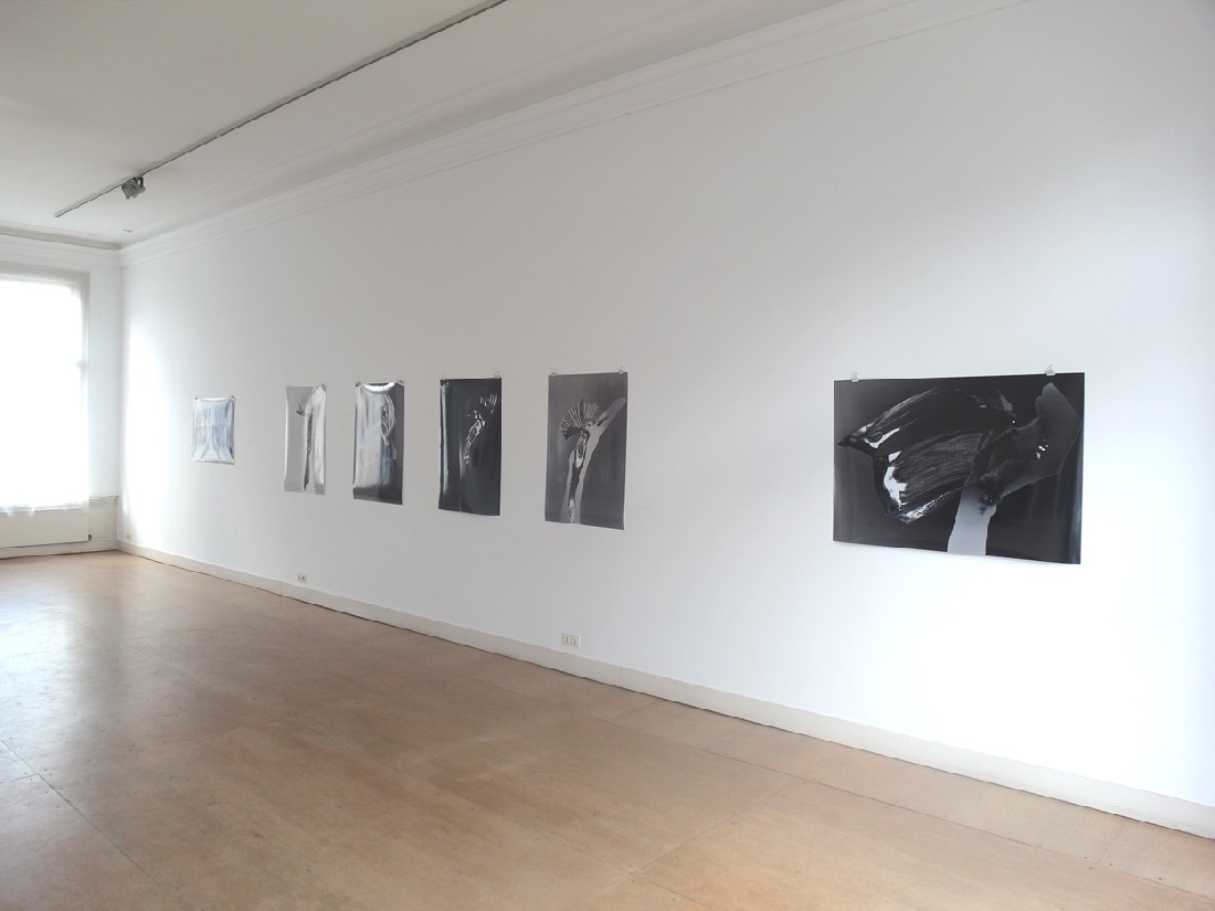 Eva-Maria Schön, expositie 2017-18, fotowerken - n.a.v. fotogrammen
PHŒBUS•Rotterdam Eva-Maria Schön, expositie 2017-18, fotowerken - n.a.v. fotogrammen
PHŒBUS•Rotterdam