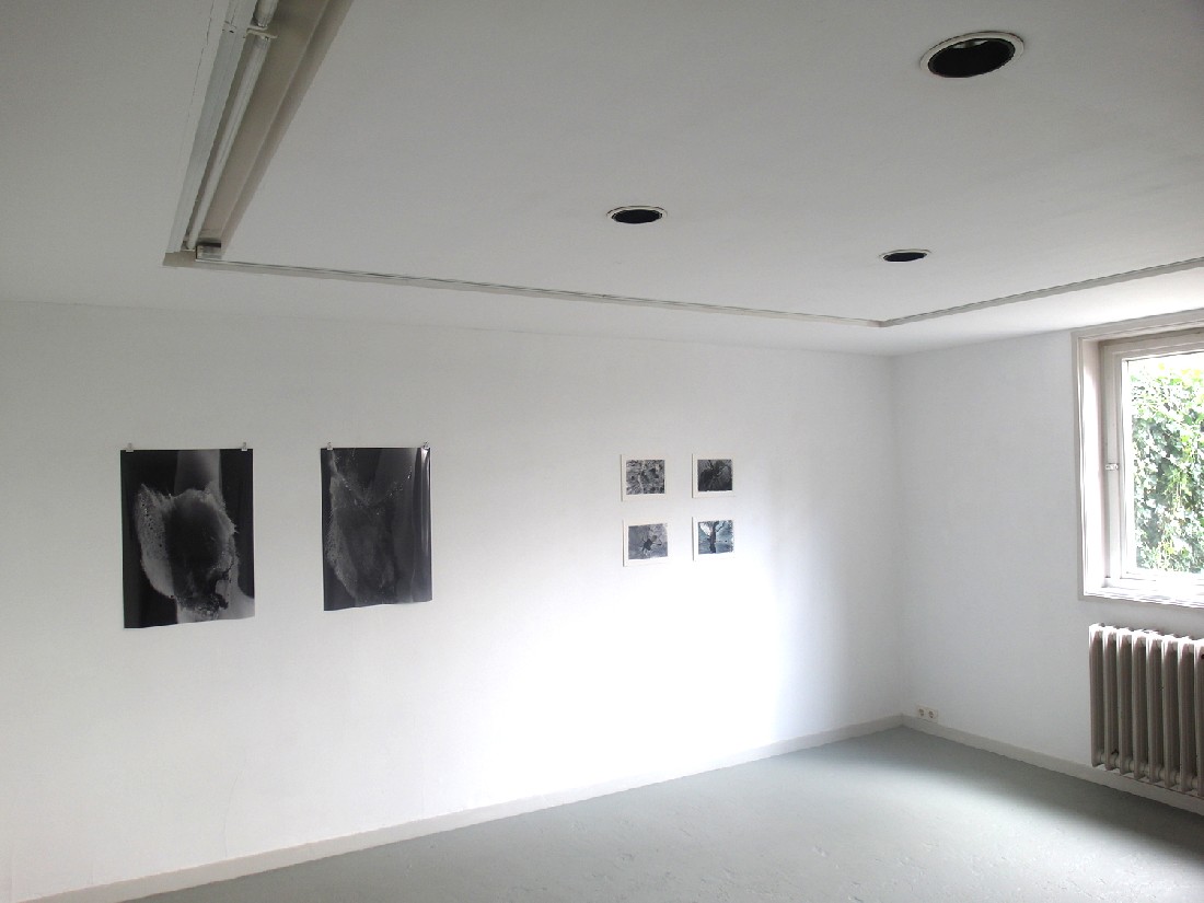 Eva-Maria Schön, expositie 2017-18,
twee fotowerken; vier werken in. fotografie, beschilderd
PHŒBUS•Rotterdam Eva-Maria Schön, expositie 2017-18,
twee fotowerken; vier werken in. fotografie, beschilderd
PHŒBUS•Rotterdam