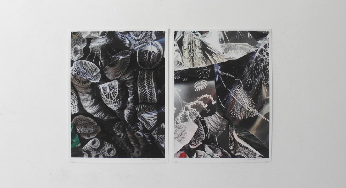 Eva-Maria Schön, KNICK, GEBROCHENE SYMMETRIE, twee van de fotowerken waarop afbeeldingen te zien zijn van Haeckel-foto's die 'zerknittert'/verfomfaaid zijn en daarna opnieuw gefotografeerd.
PHŒBUS•Rotterdam Eva-Maria Schön, KNICK, GEBROCHENE SYMMETRIE, twee van de fotowerken waarop afbeeldingen te zien zijn van Haeckel-foto's die 'zerknittert'/verfomfaaid zijn en daarna opnieuw gefotografeerd.
PHŒBUS•Rotterdam