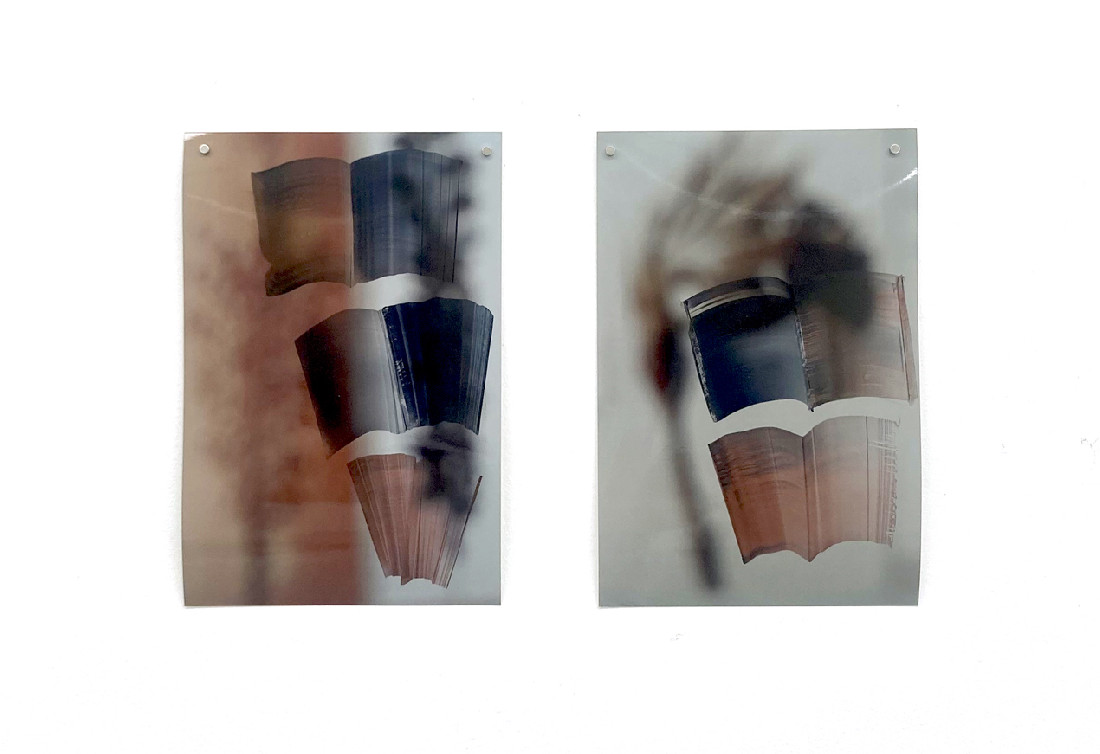 Eva-Maria Schön, twee foto's 30 x 20 cm., met vage opnames van Blossfeldt's foto's van plantenverzamelingen, met 'Handvokabular' in inkt beschilderd.
PHŒBUS•Rotterdam Eva-Maria Schön, twee foto's 30 x 20 cm., met vage opnames van Blossfeldt's foto's van plantenverzamelingen, met 'Handvokabular' in inkt beschilderd.
PHŒBUS•Rotterdam