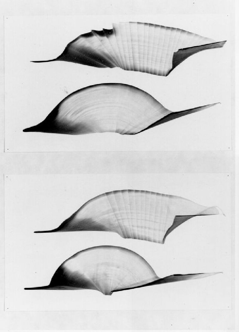 Eva-Maria Schön, z.t. 1999, twee met de hand beschilderde vellen papier,
aquarel 0.20 x 0.35 m.
PHŒBUS•Rotterdam Eva-Maria Schön, z.t. 1999, twee met de hand beschilderde vellen papier,
aquarel 0.20 x 0.35 m.
PHŒBUS•Rotterdam
