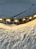 Rick van Strien, “How Shall We G
reet the Sun? - No. 1” - Detail ¬¬installatie Nieuwe laden project - keramiek - ø 44 x d 5 cm - 2025
PHŒBUS•Rotterdam