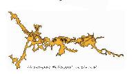Ken'ichiro Taniguchi, detail kaart met geel silhouet van Melkkoppad hecomi - eerste fase.
PHŒBUS•Rotterdam