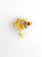 Ken'ichiro Taniguchi, Melkkoppad I #2, 2022, compressed pvc, brass, steel, hinges, acrylic plate
hxwxd 21 x 17 x 8 cm.
PHŒBUS•Rotterdam
