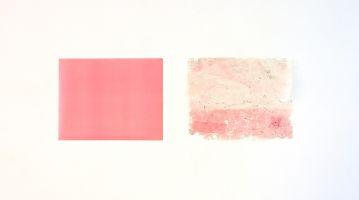 Roze papier; en roze papier in de tuin van Bernard Villers,

met name door slakken aangedaan
PHŒBUS•Rotterdam