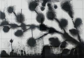 Bram Zwartjens, 'Anabiose', 1999, koolstof, katoen, potlood, papier, 24 x 35 cm.
PHŒBUS•Rotterdam